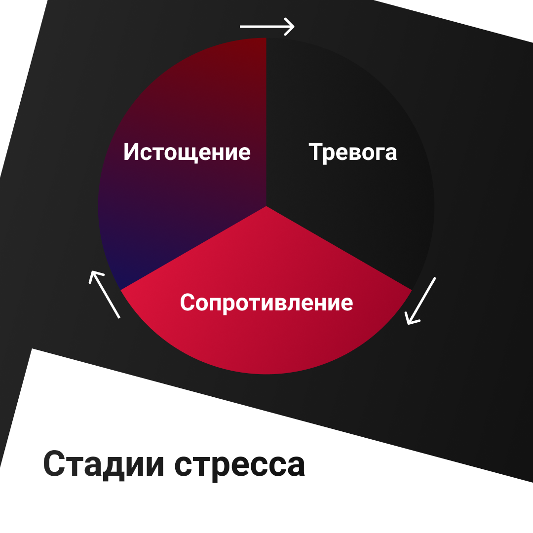 Как справиться со стрессом? | Человек как продукт | Дзен