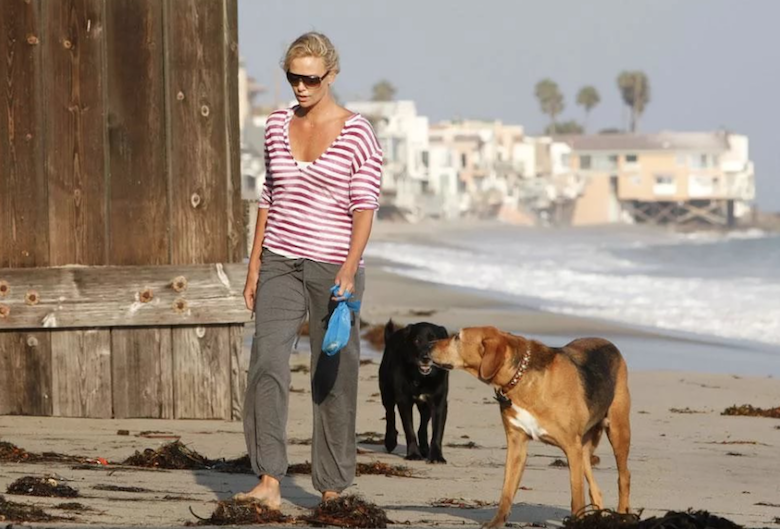 Шарлиз с питомцами)