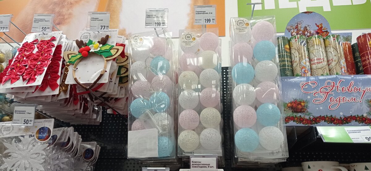 Фото автора для иллюстрации