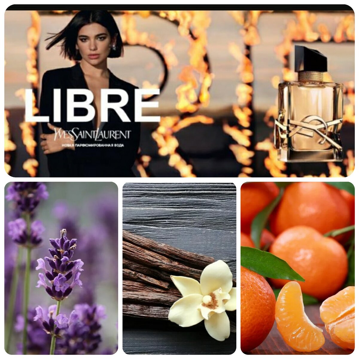 Libre Intense. Коллаж автора