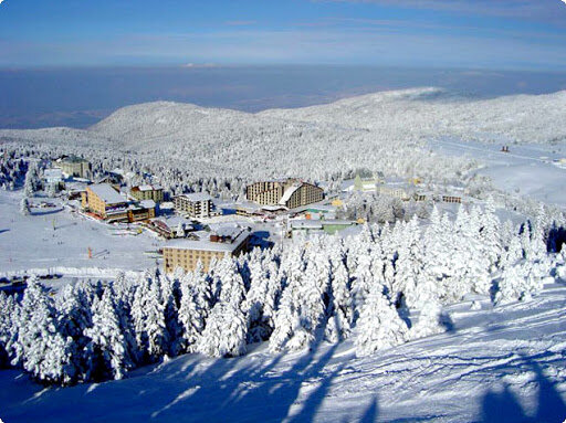 Отдых в Турции в январе