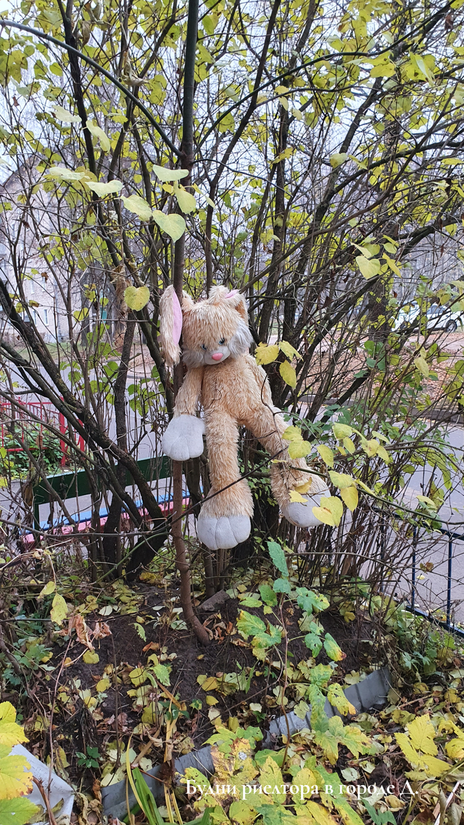 Фото из личного архива 