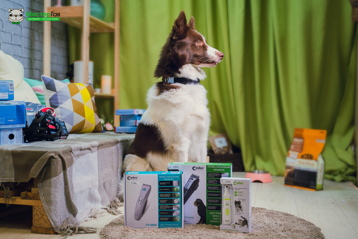 Фото интернет-магазина Мистер Гав. Шорти и машинки для стрижки  Codos.