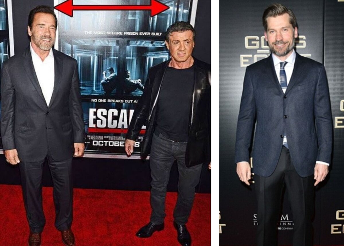 Шварценеггер на фоне Сталлоне/Костер-Вальдау. Фото: arnoldschwarzeneggernetworth.com; celebrityinside.com