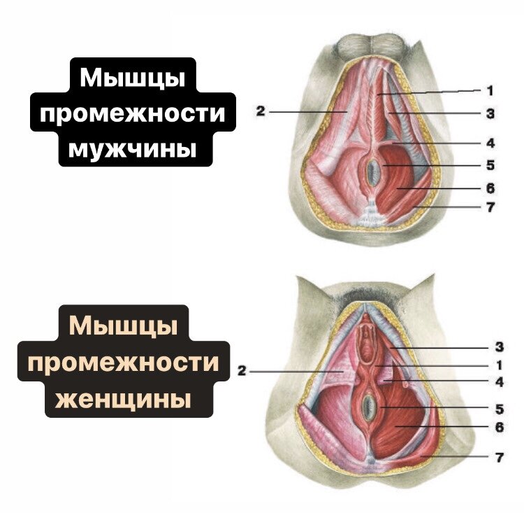 Молодая женщина держит ее болезненный промежность.