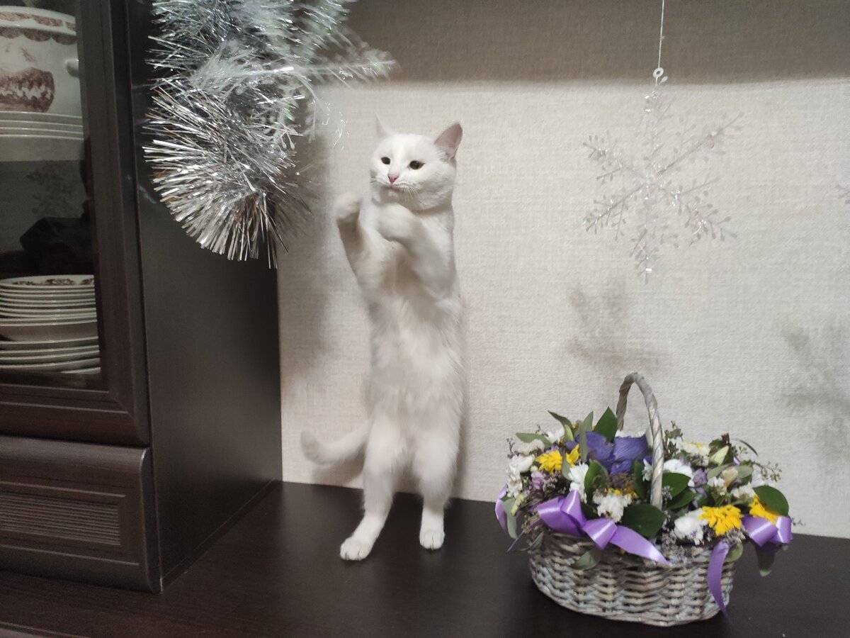 Прошлый год