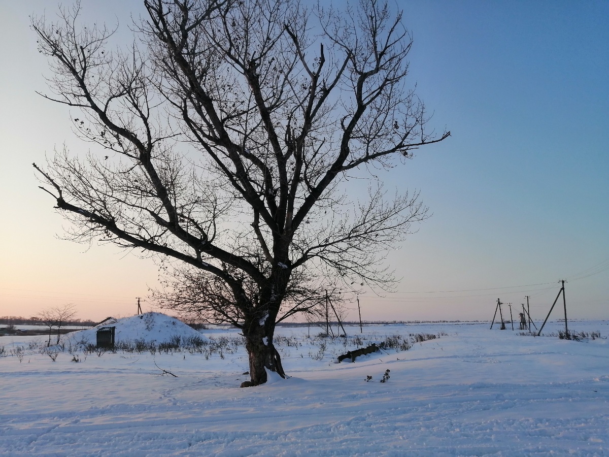 Фото автора. Зимний вечер на Кубани. 