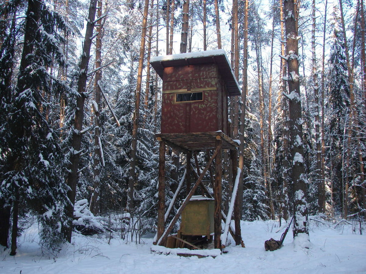 Фото Яндекс.