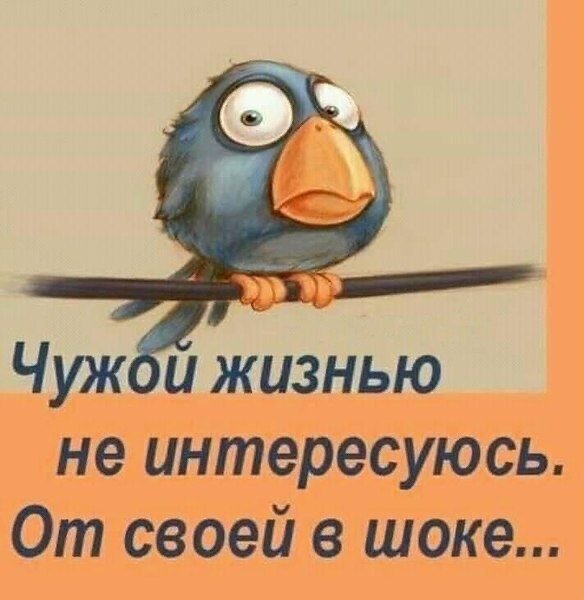 Фото взято из интернета 