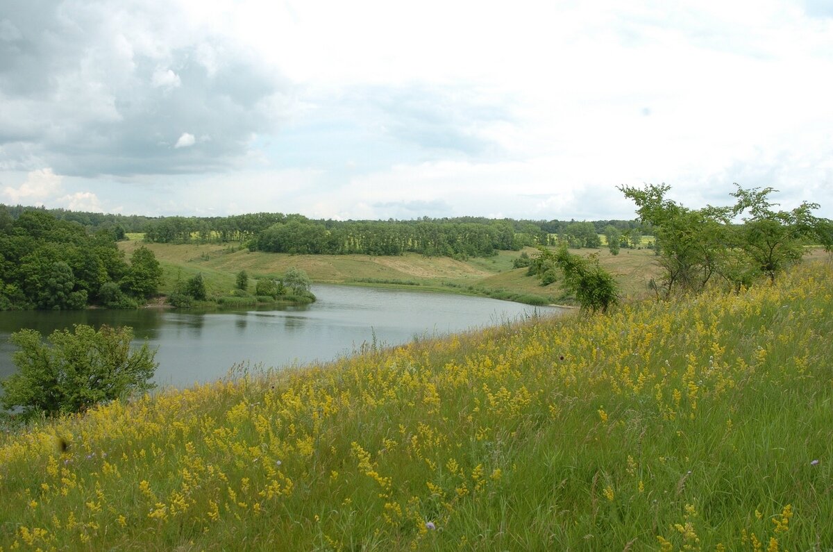 Речка Сейм Курск. Курский край река Сейм. Река Сейм Курск. Река Сейм в Курской области. Река в курской области 5 букв