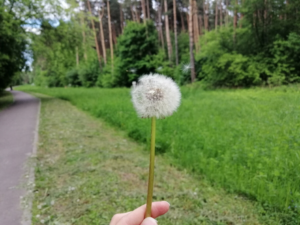 Счастье в мелочах