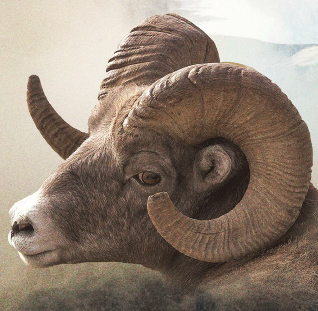 Фото с сайта shutniki.club 