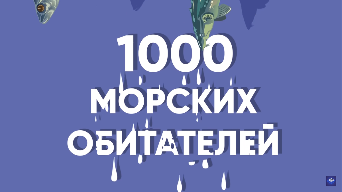 Тысячи морских обитателей падают с небес