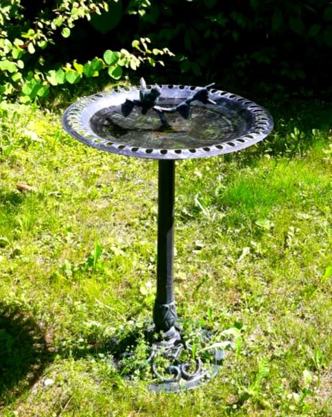 Фото автора. 