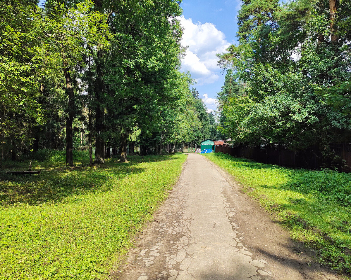 Асфальт не идеален