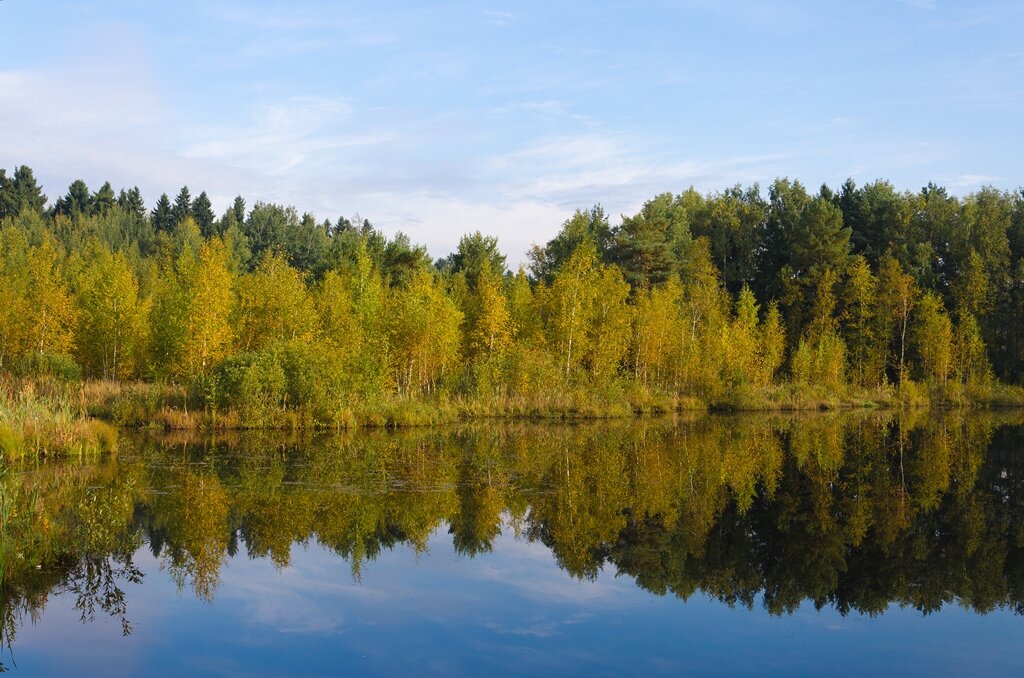 Возле черного озера