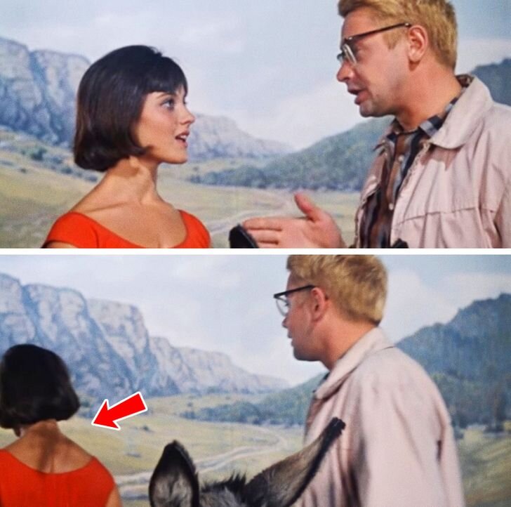 Источник: adme.ru 