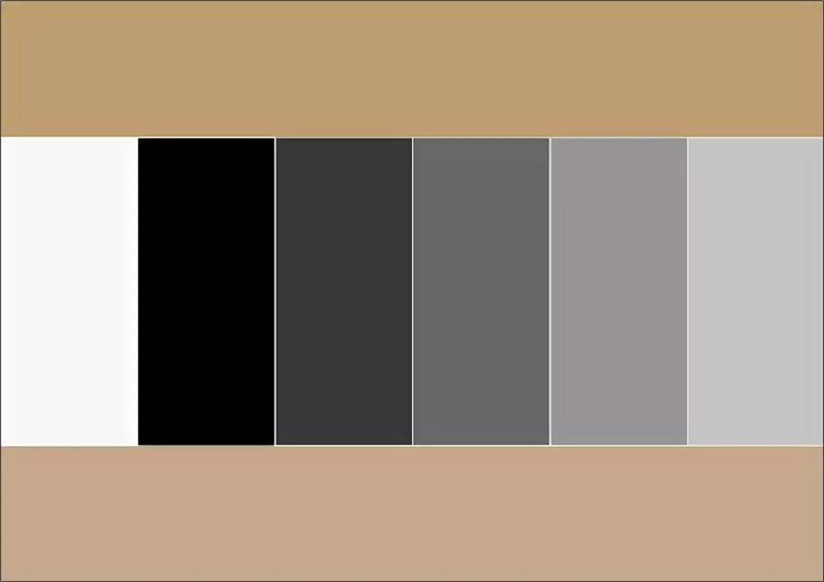 Светло коричневый серый цвет. Палитры цветов черный бежевый белый. Черный белый бежевый палитра. Сочетание бежевого и черного цвета. Цветовая палитра серый черный.