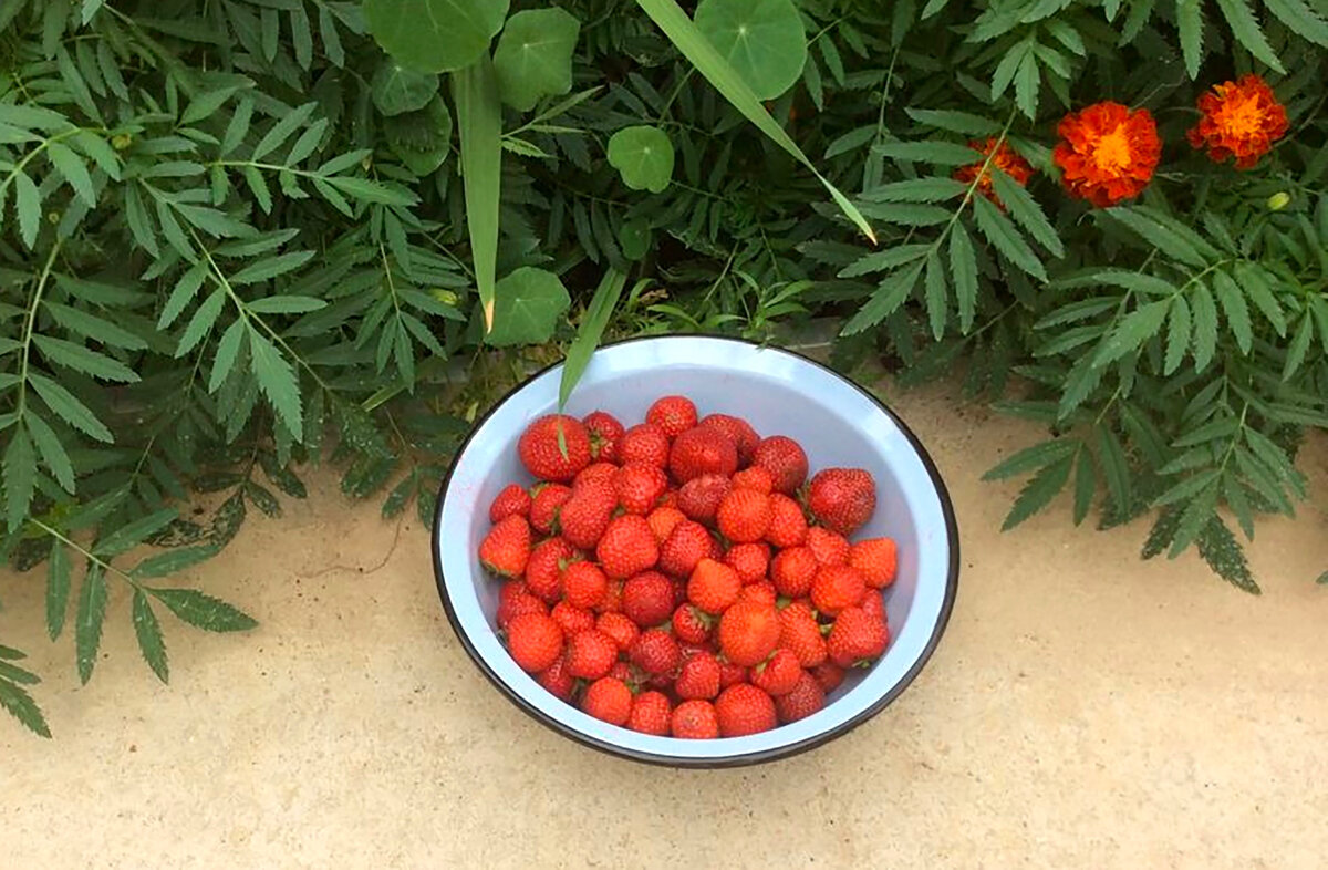 Клубничка от Богуновой В.Г. для настроения 