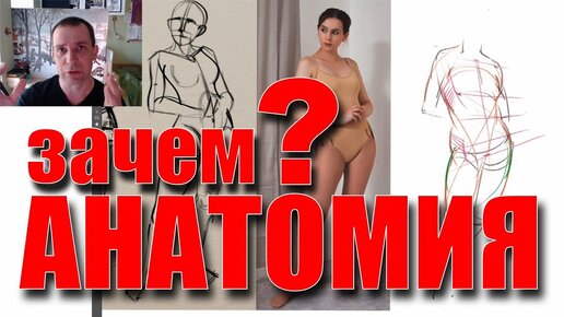 Зачем анатомия художнику?! - А. Рыжкин