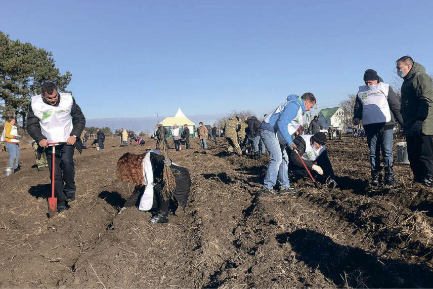 Представители органов власти и общественники высаживают лес в Симферопольском районе. Фото: Сергей Дубовик