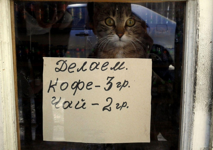 Все фото: Яндекс.Картинки