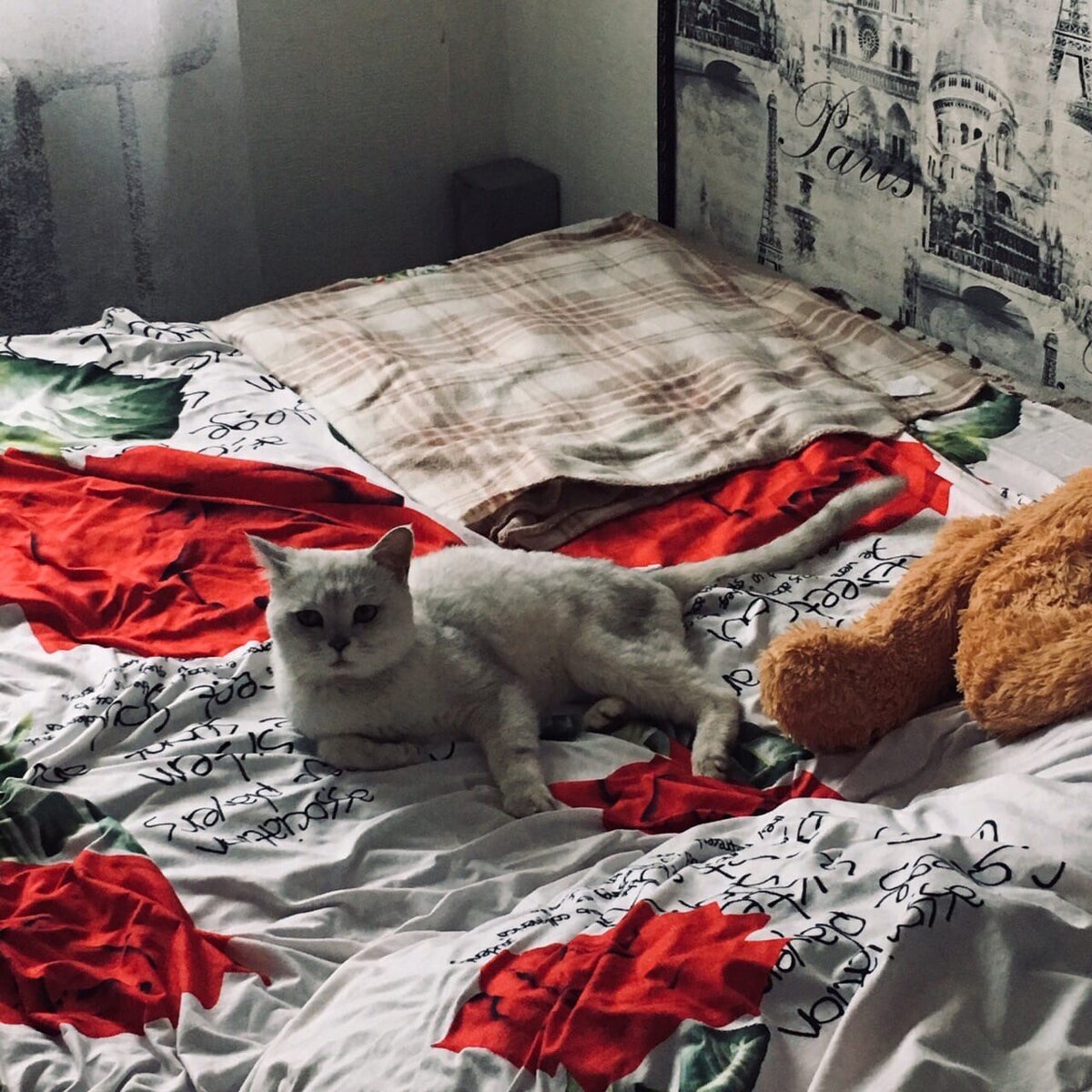 Ну посмотрите на это, у меня даже кости торчали :(