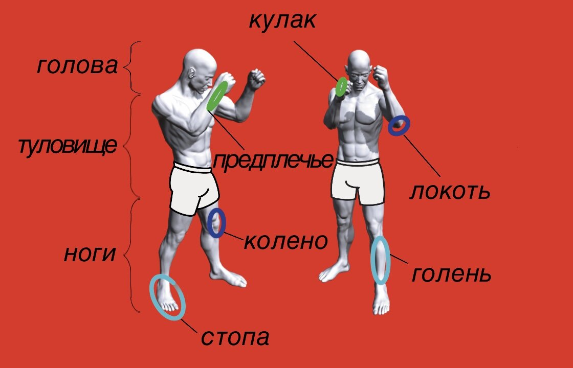 Основные ударные поверхности 