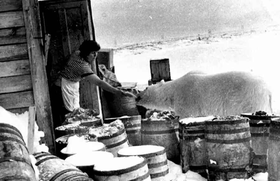 Прекрасное фото! Доброе и позитивное!