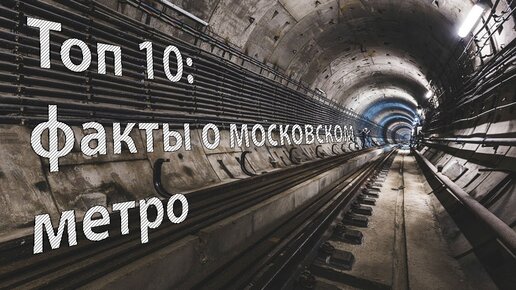 10 Малоизвестных и интересных фактов о Московском метро и откуда у метро крик птиц