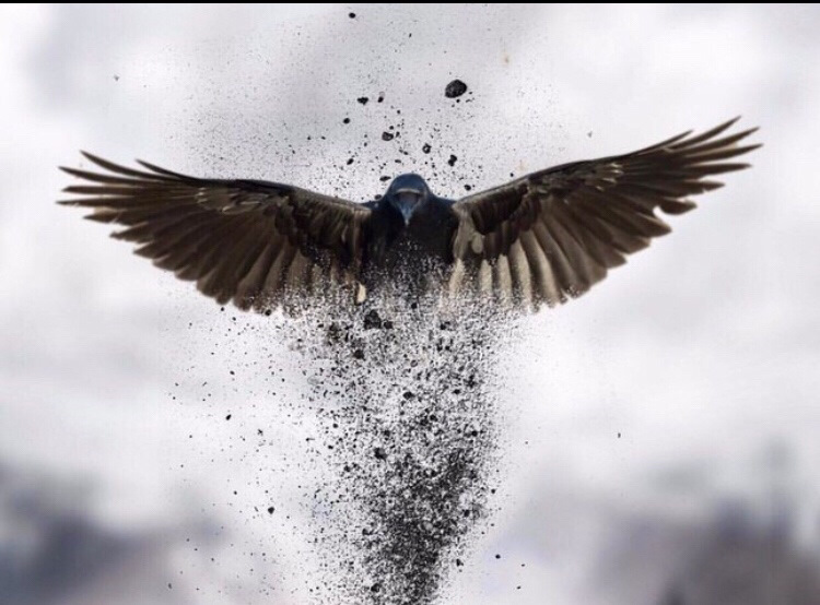 фото яндекс-картинки