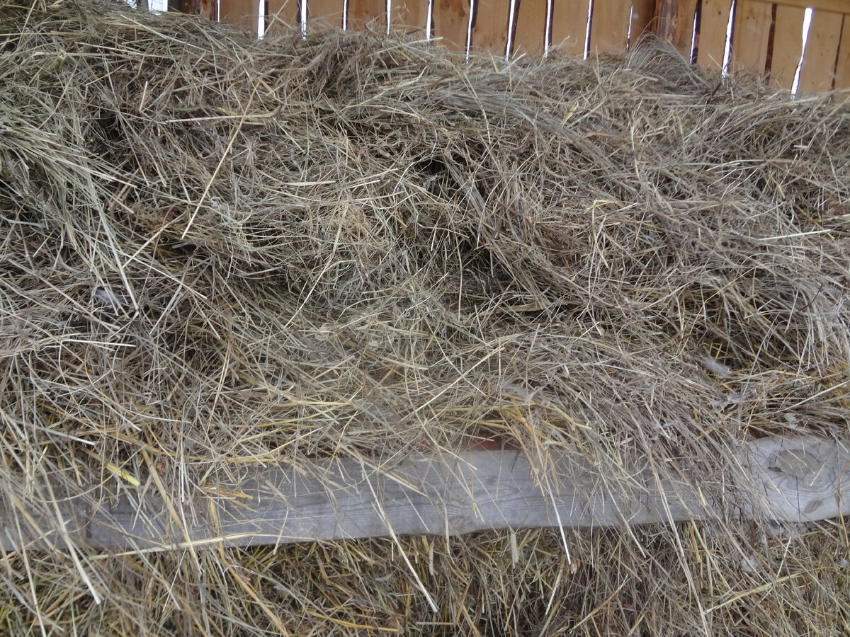 У сена ни цвета, ни запаха