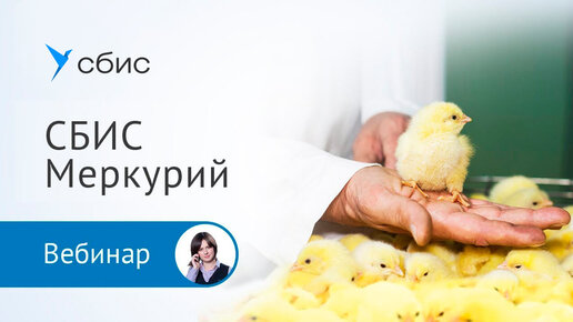 СБИС Меркурий - комплексное решение для обработки ВСД