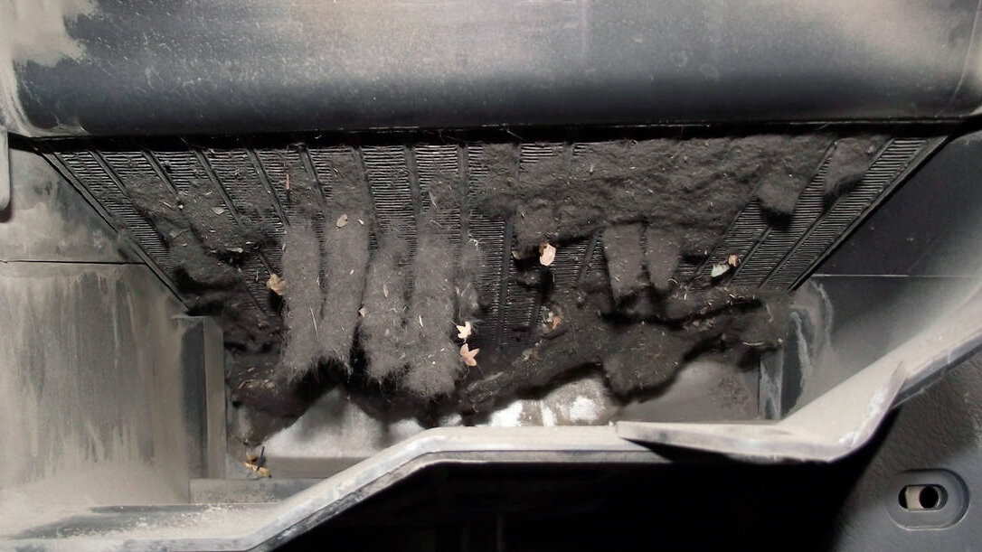 В воздух, который идет через систему попадают споры грибков и плесени. Это становится причиной многих респираторных заболеваний. В наши дни это особенно актуально. 