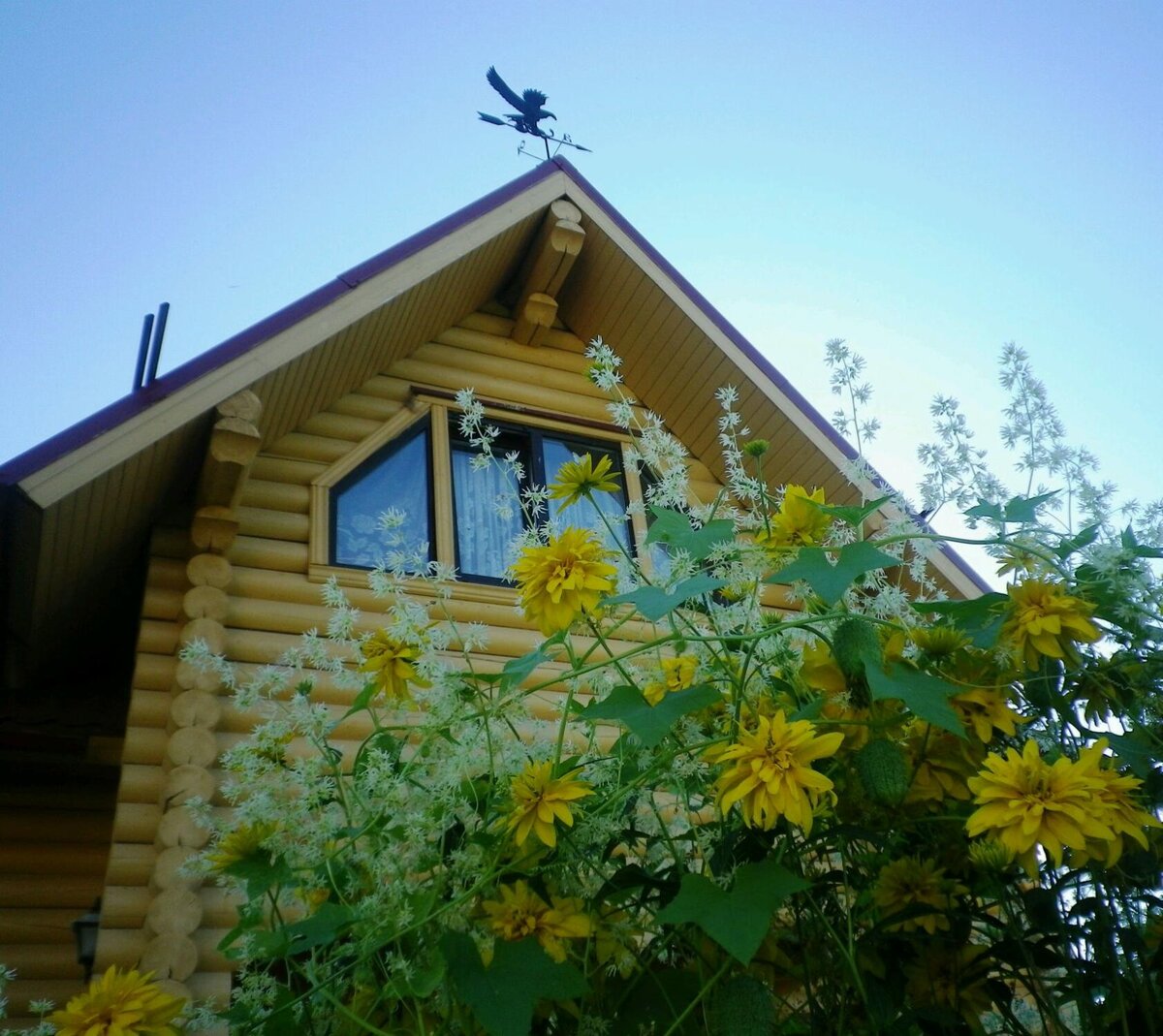 Дому к лицу золотой шар). 