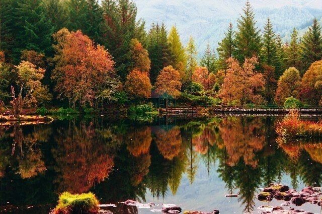 Источник: Яндекс.картинки