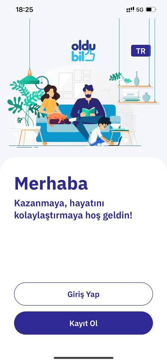 Интерфейс OlduBill