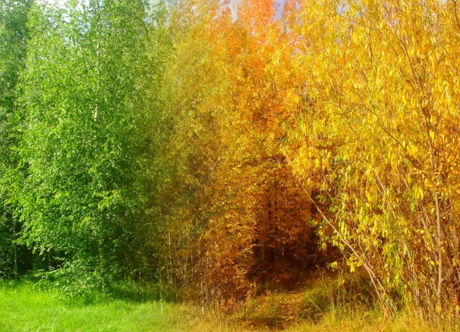 Фото: Л. Костраба