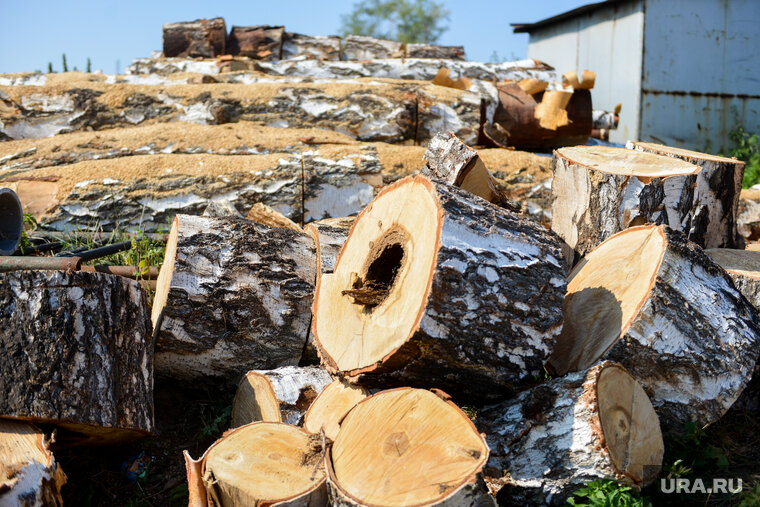    В некоторых странах Европы растут цены на дрова