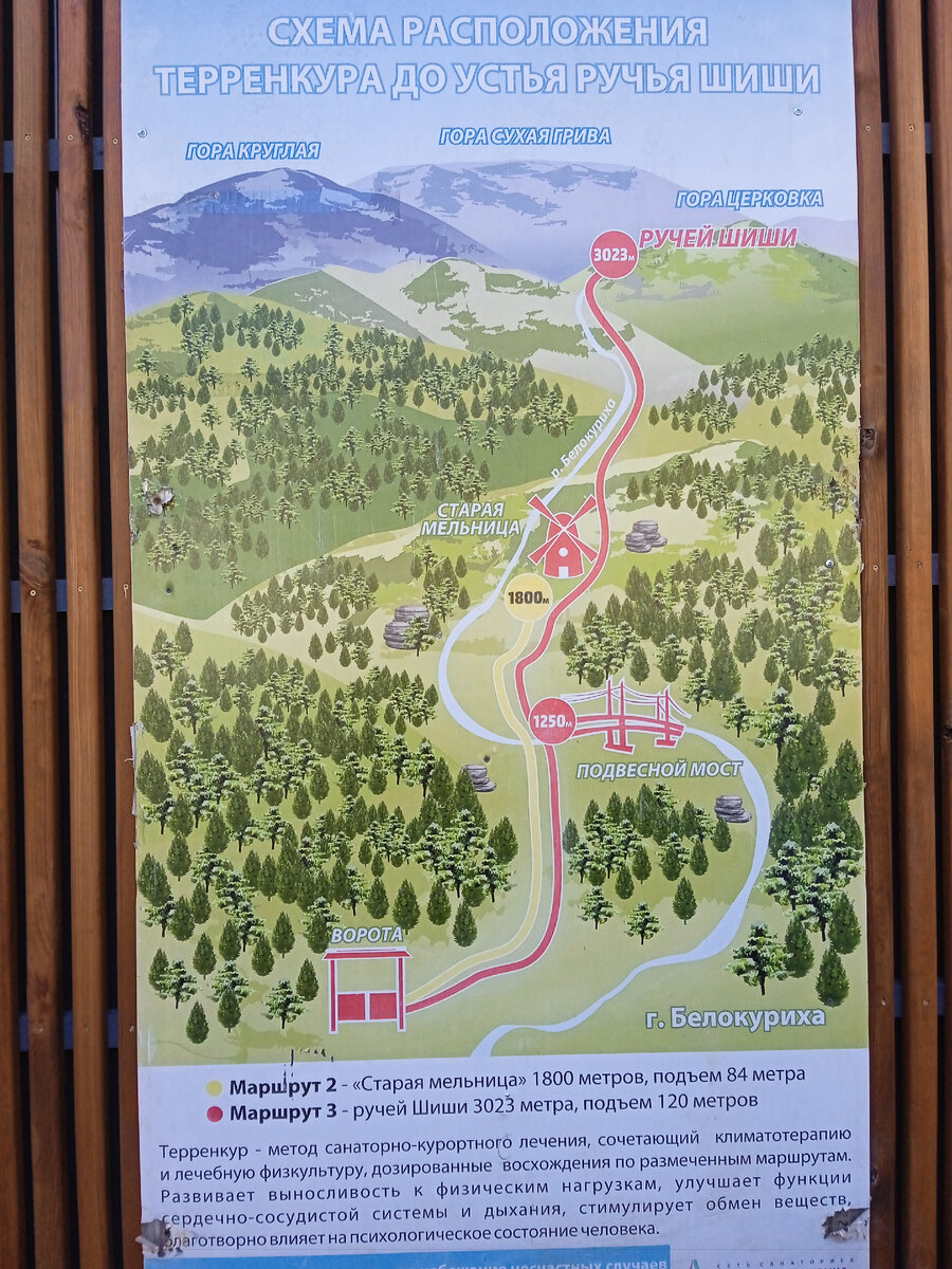 Терренкур в Белокурихе, Алтайский край. 