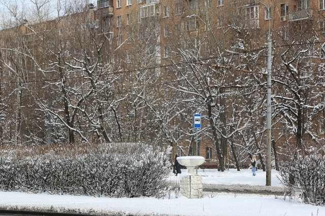    Снег Наталья Стрельцова © ИА REGNUM