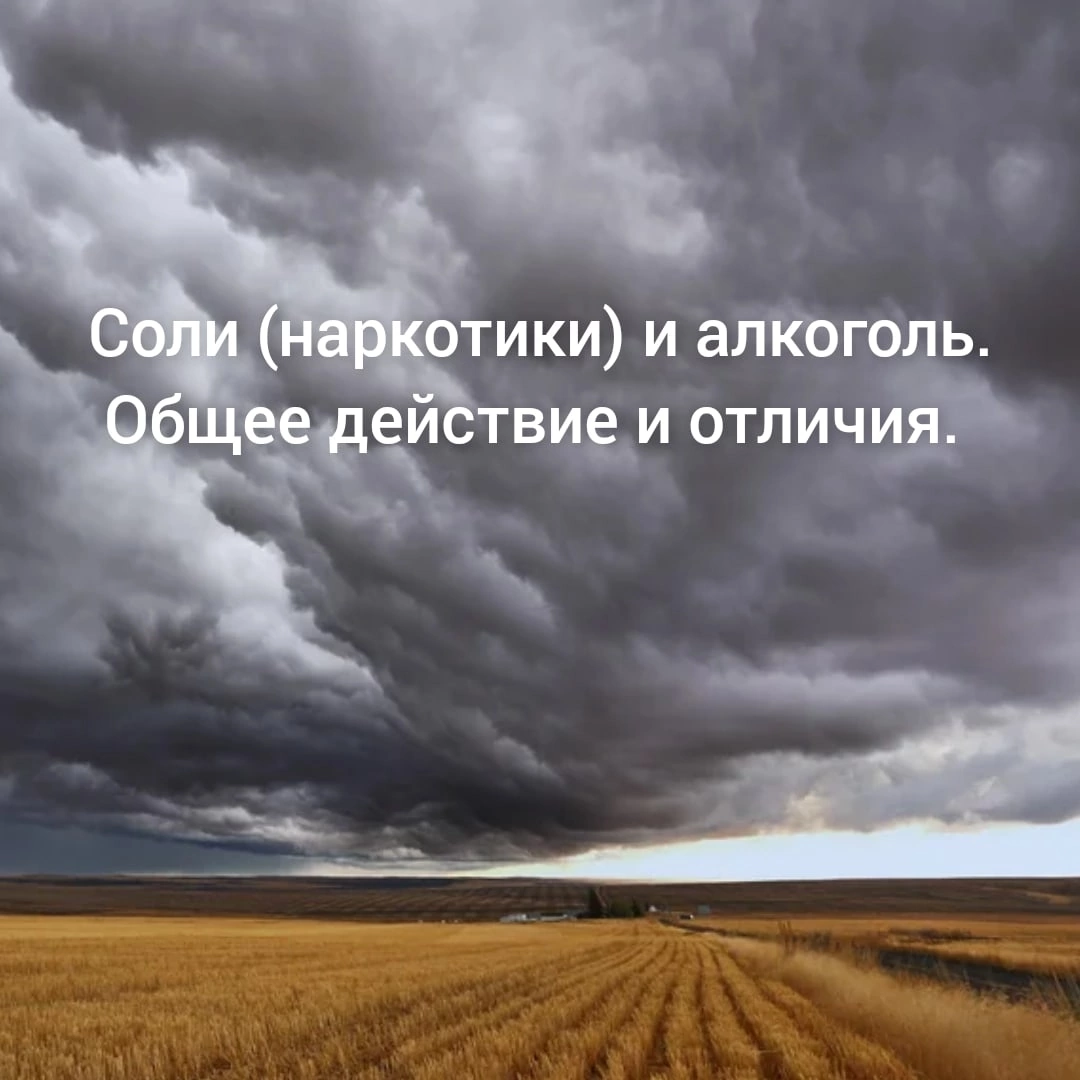 Соли (наркотики) и алкоголь. Общее действие и отличия. | Алкоголизм.  Созависимость. | Дзен