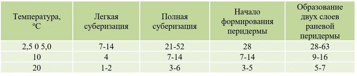Таблица 1. Продолжительность различных стадий заживления повреждений кожуры (суберизации)