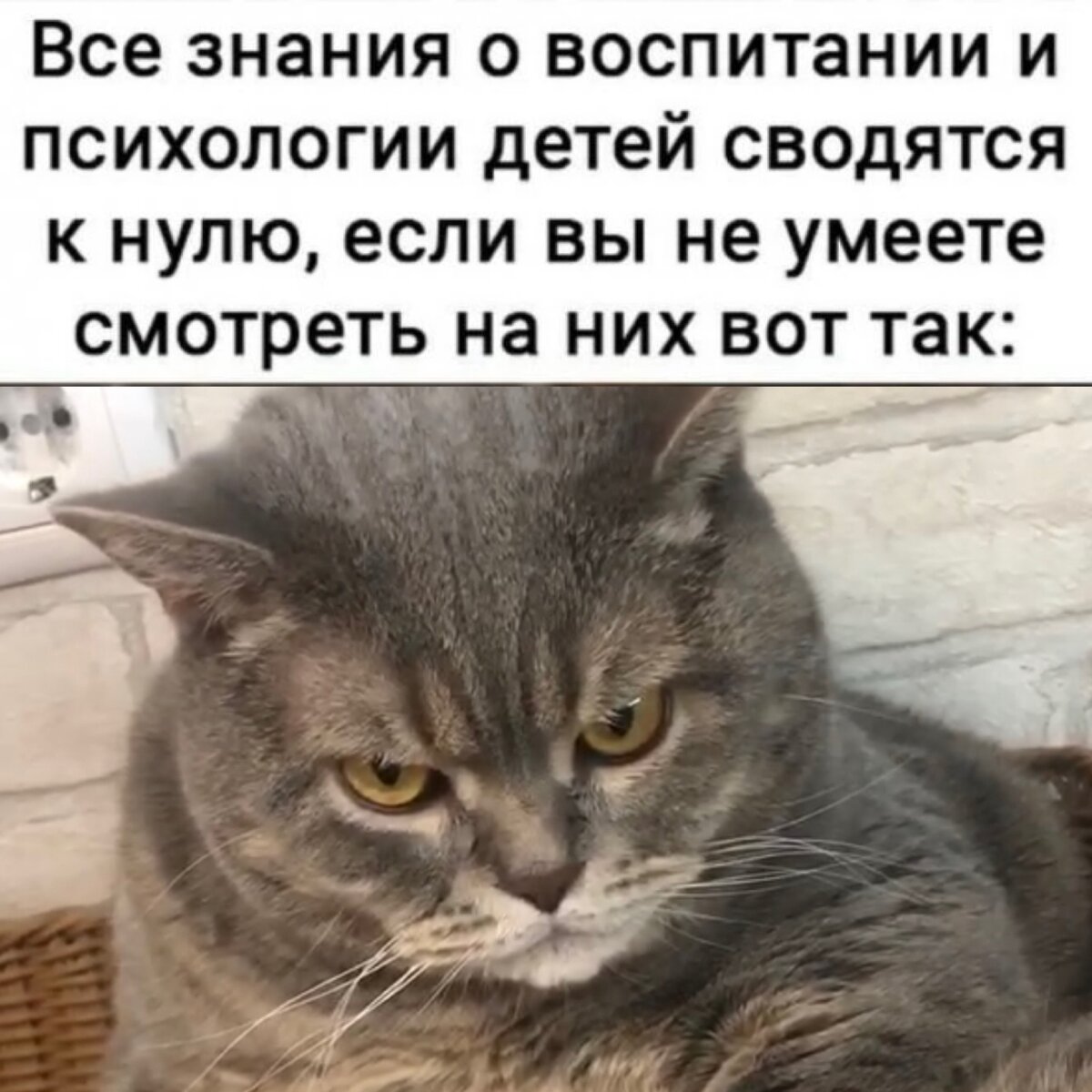 😎😎😎