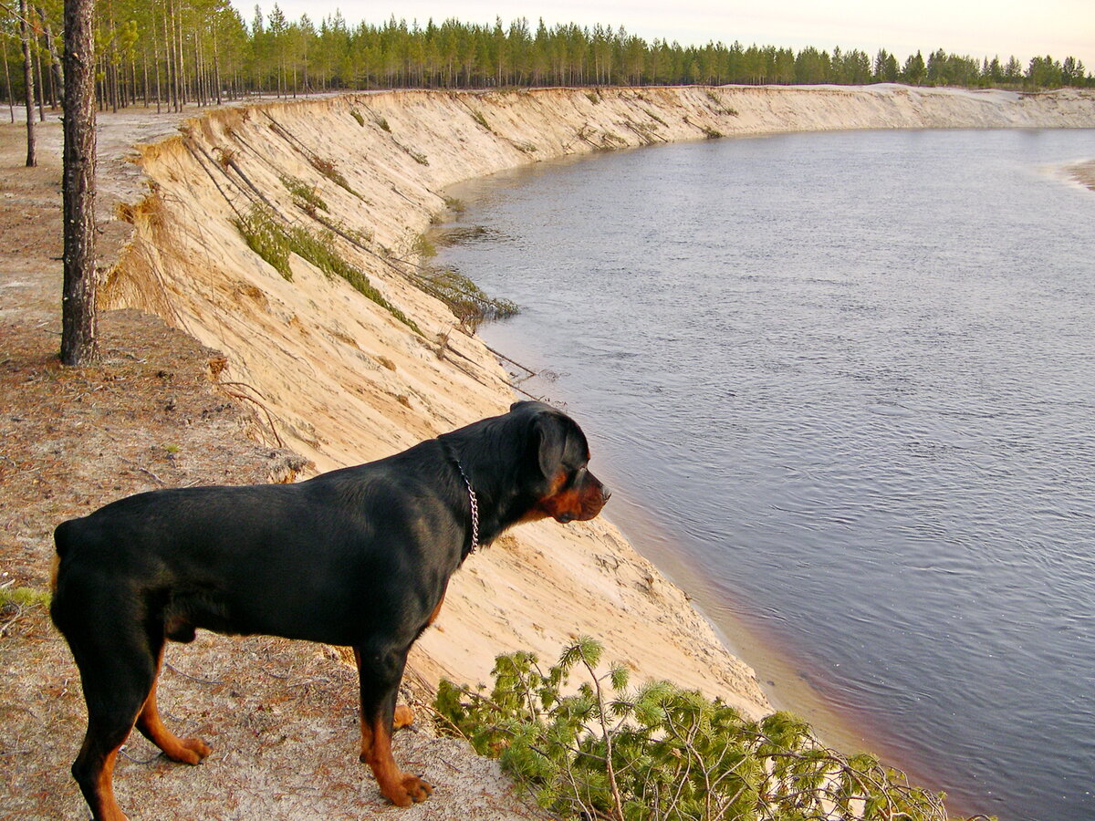 Дан смотрит на реку с высоты обрыва