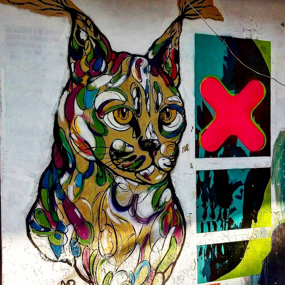 Фото сделано в Тель-Авиве