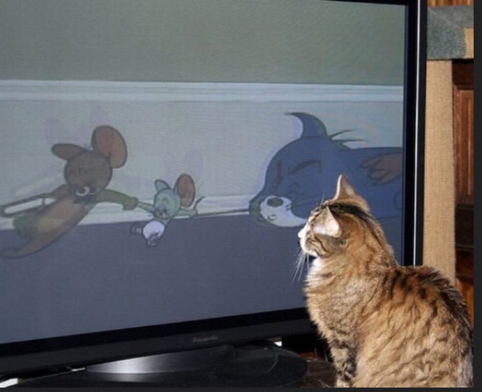 Фото из открытого источника в интернете