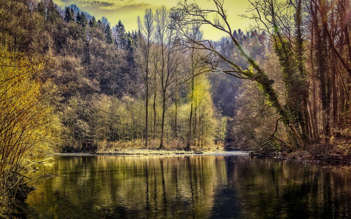 Источник фото: сайт pixabay