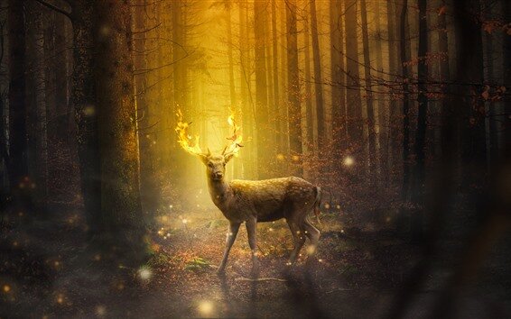 Магические леса эльфов в моём воображении: https://ru.best-wallpaper.net/Deer-magic-fire-horns-forest_wallpapers.html