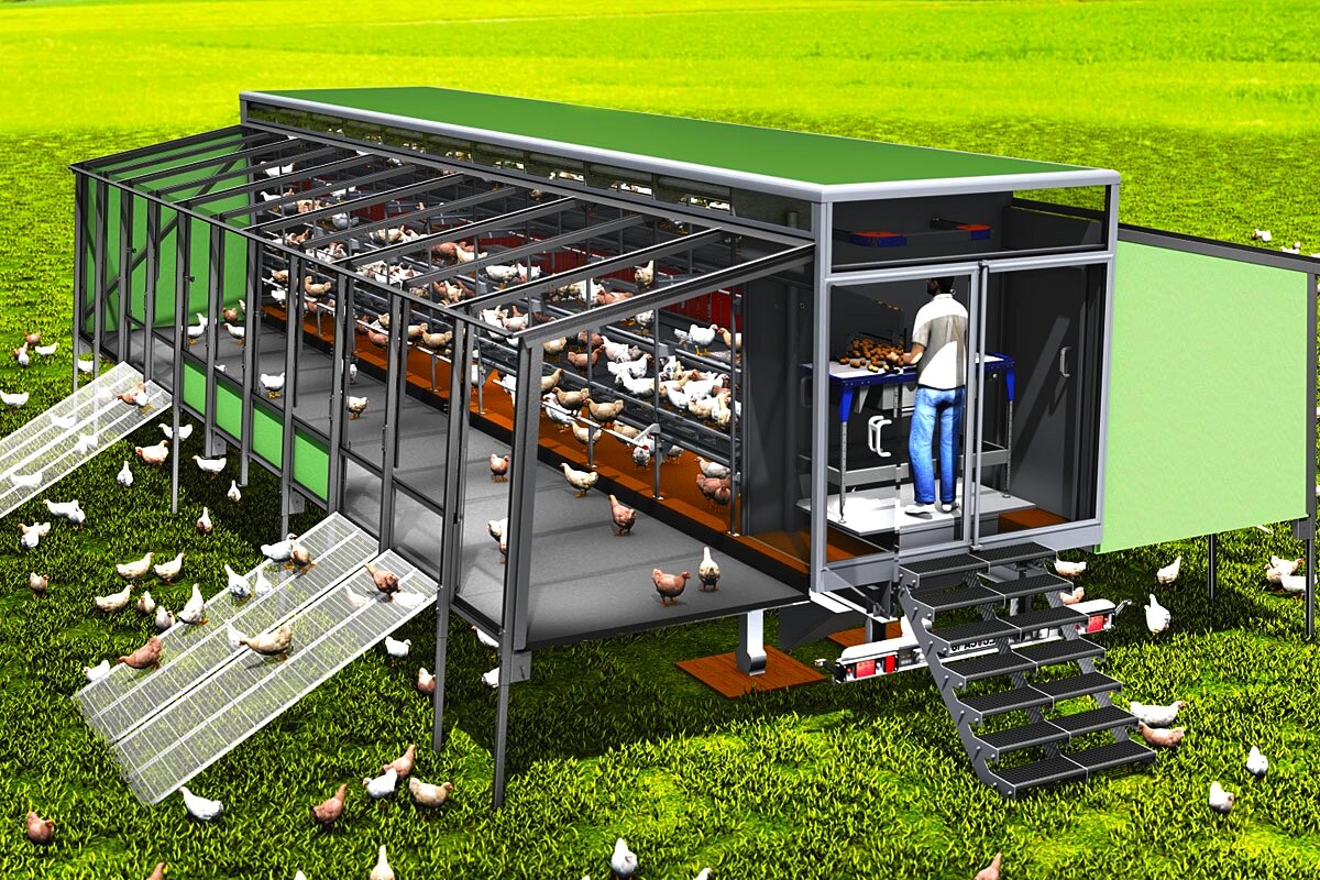 Картинка из источника: https//yandex.ru/images/search